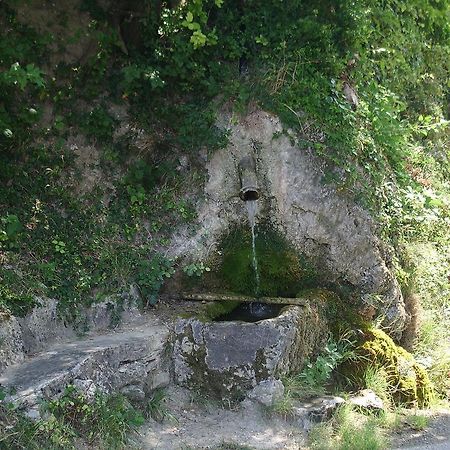Le Mas Fa Sua Bed and Breakfast Malataverne Exterior foto